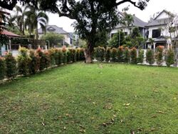 Hock Swee Hill (D28), Semi-Detached #503200821